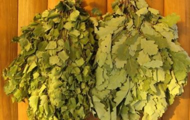 Какой лучше выбрать веник для бани? Какой лучше выбрать веник для бани?