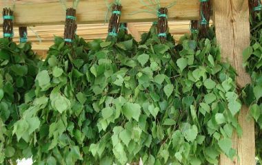 Как хранить веники для бани Как хранить веники для бани