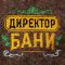 Тапочки банные с вышивкой "Директор бани" Тапочки банные с вышивкой "Директор бани"