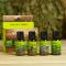Набор эфирных масел "Пихта. Мята. Сосна. Эвкалипт" косметический, 4 шт по 15 мл