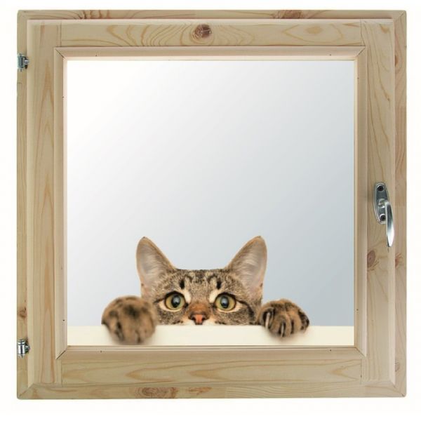 Окно, 50х60см, "Кошак", однокамерный стеклопакет, с уплотнителем