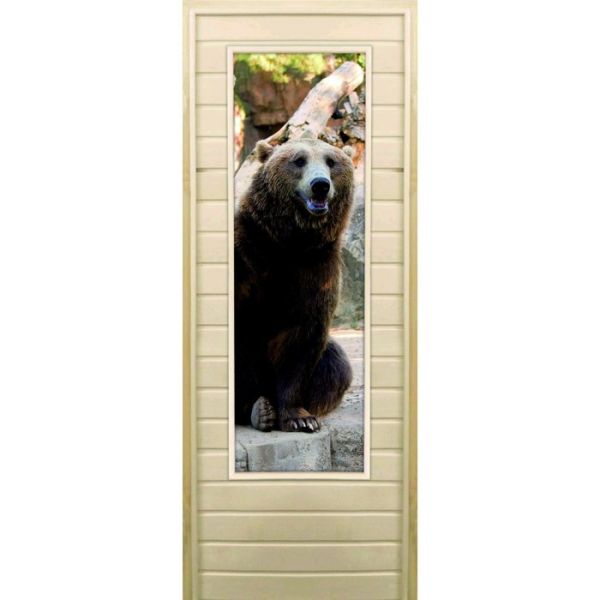Дверь для бани со стеклом (43*129), "Медведь-5", 170?70см, коробка из осины