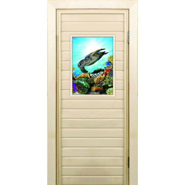 Дверь для бани со стеклом (40*60), "Черепаха-2", 170х70см, коробка из осины