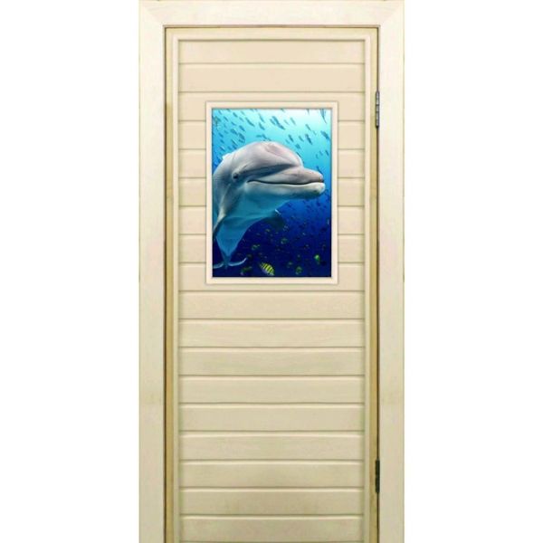 Дверь для бани со стеклом (40*60), "Дельфин", 170х70см, коробка из осины
