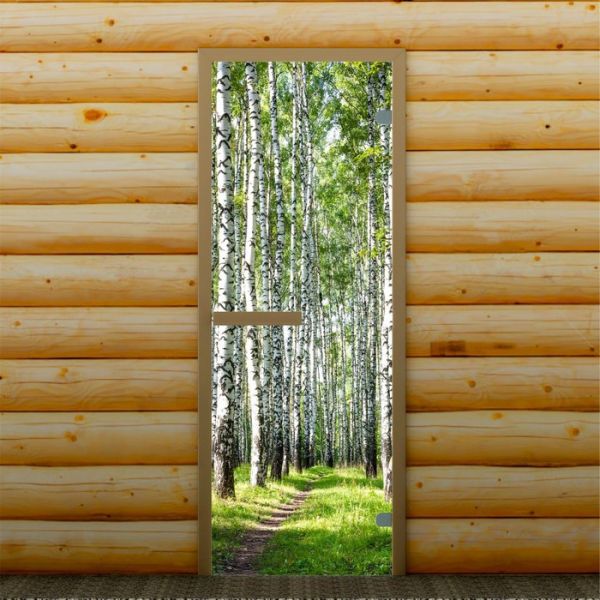 Дверь для бани и сауны "Берёзовая роща", 190 х 67 см, с фотопечатью 6 мм Добропаровъ
