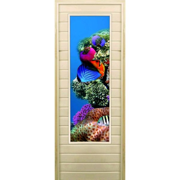 Дверь для бани со стеклом (43*129), "Кораллы-1", 170х70см, коробка из осины