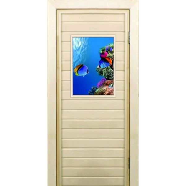 Дверь для бани со стеклом (40*60), "Кораллы-1", 170х70см, коробка из осины