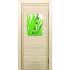 Дверь для бани со стеклом (40*60), "Капли", 170х70см, коробка из осины
