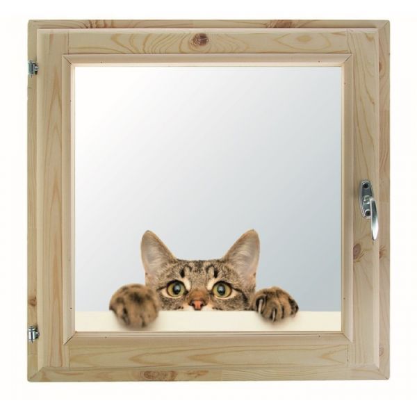 Окно, 40х60см, "Кошак", однокамерный стеклопакет, с уплотнителем