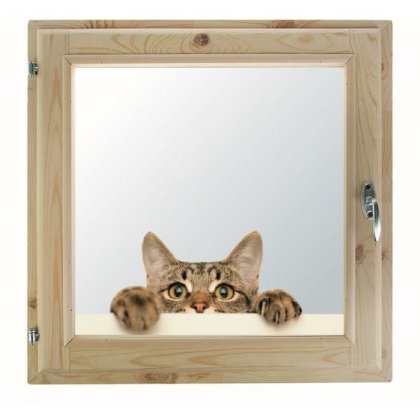 Окно, 40х60см, "Кошак", однокамерный стеклопакет, с уплотнителем