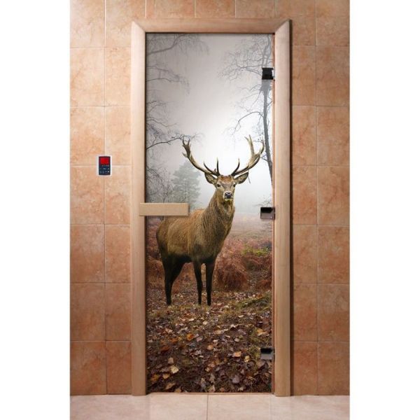 Дверь с фотопечатью, стекло 8 мм, размер коробки 190 ? 70 см, правая, цвет А080